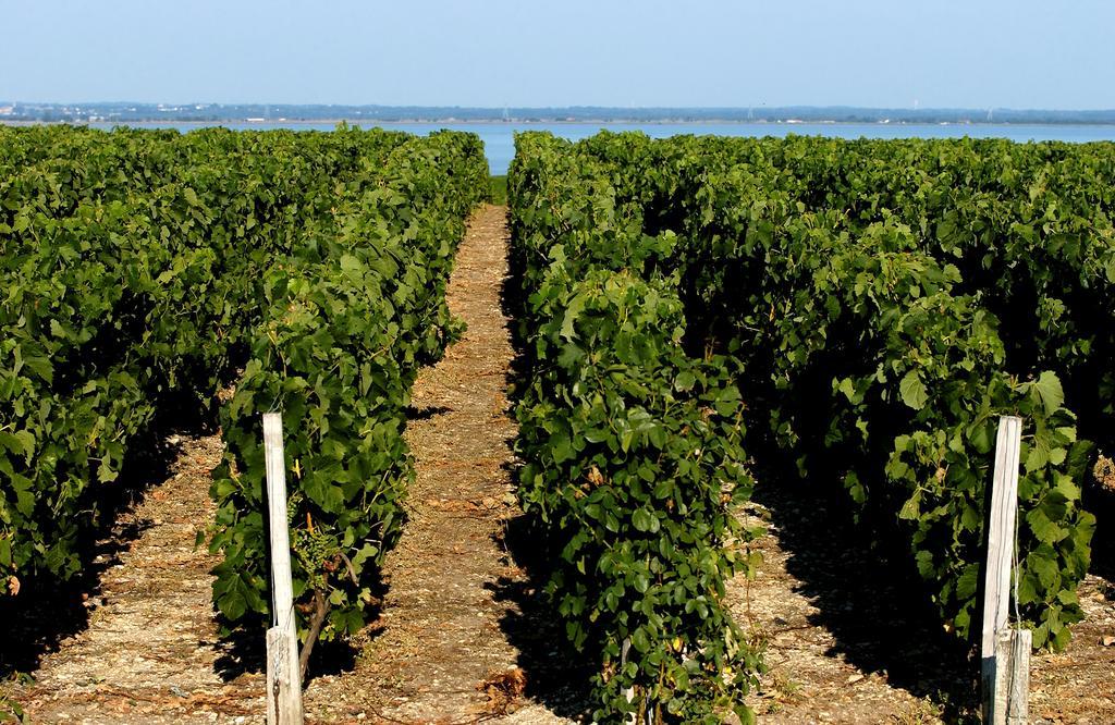 Vvf Soulac-Sur-Mer Bordeaux Medoc Exterior foto